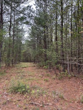 Lake Sam Rayburn Land Parcel