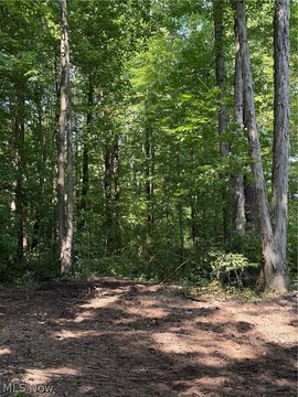 Land, Andover, OH
