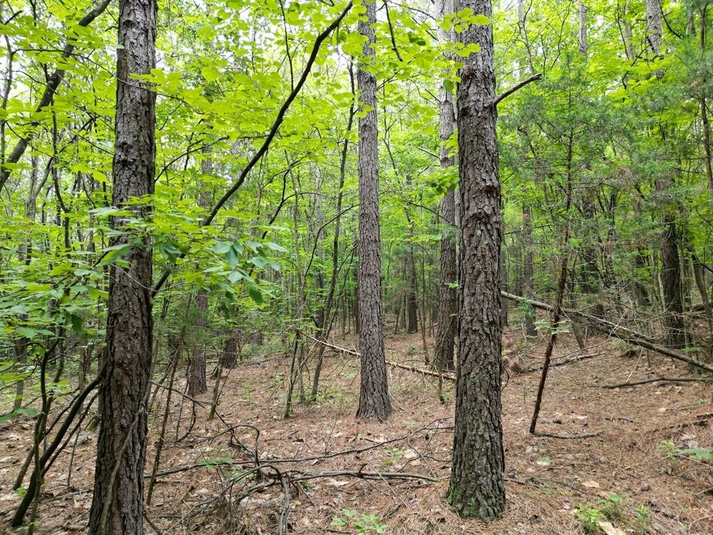 Picture 36