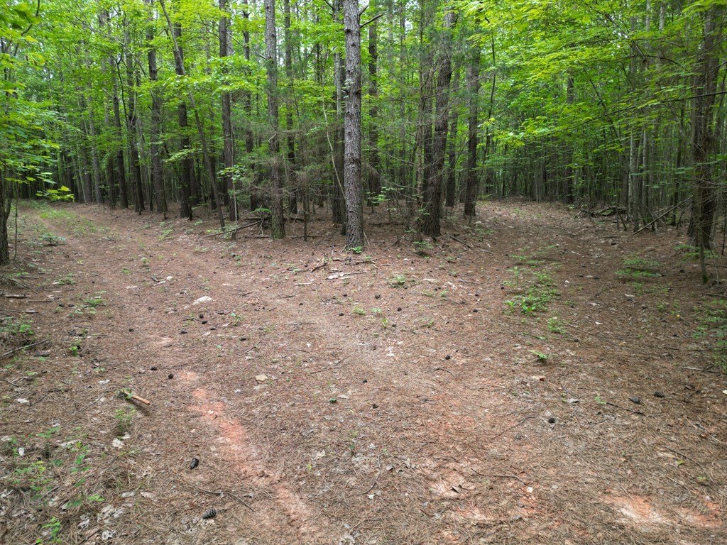 Picture 22