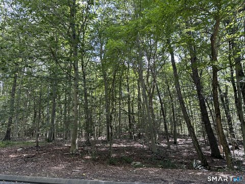 Two Acre Residential Land Parcel