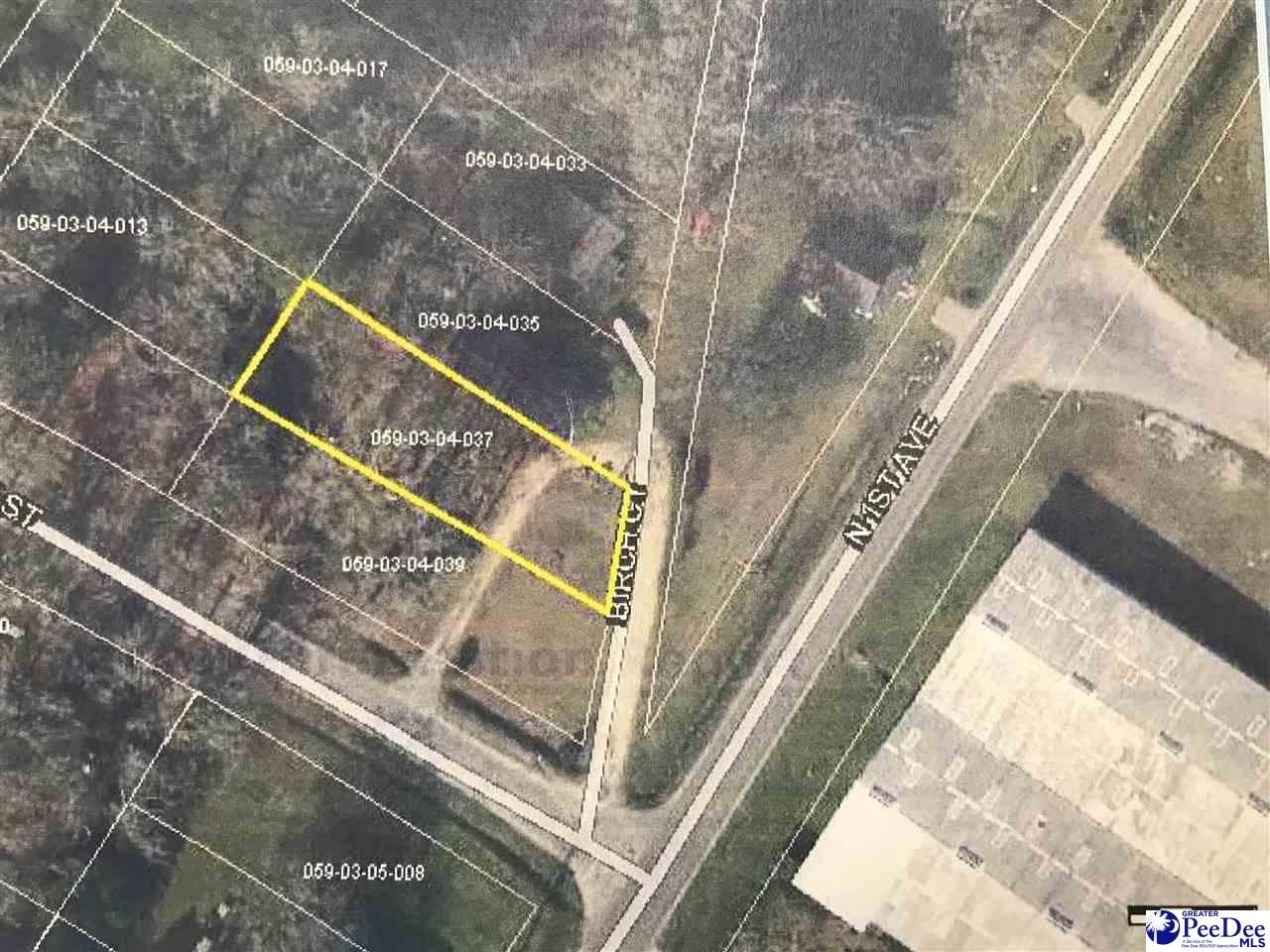Residential Lot in Dillon, SC