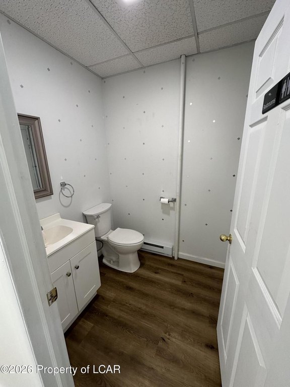 Picture 7