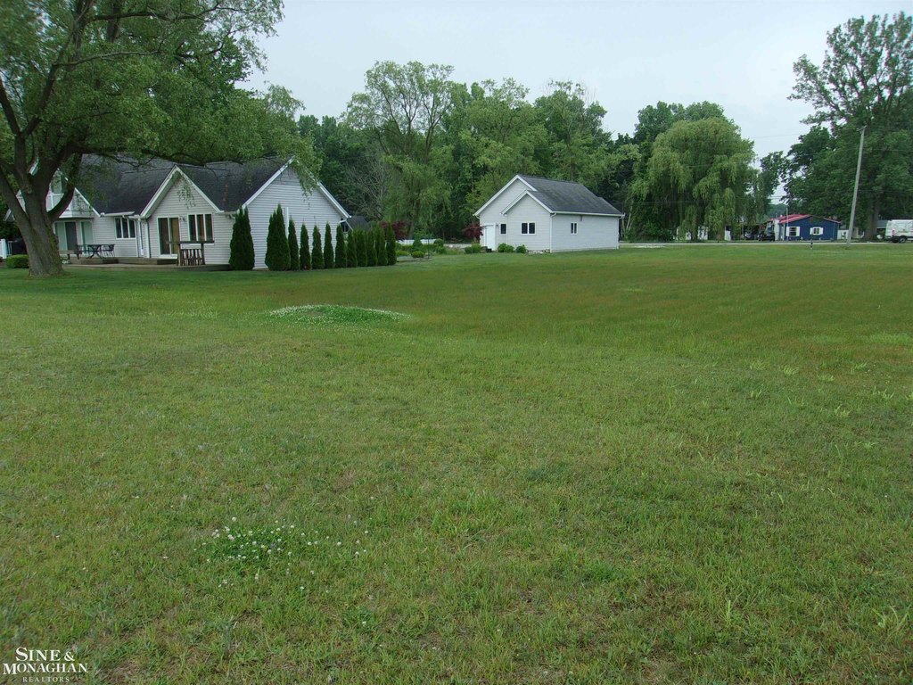 Picture 6