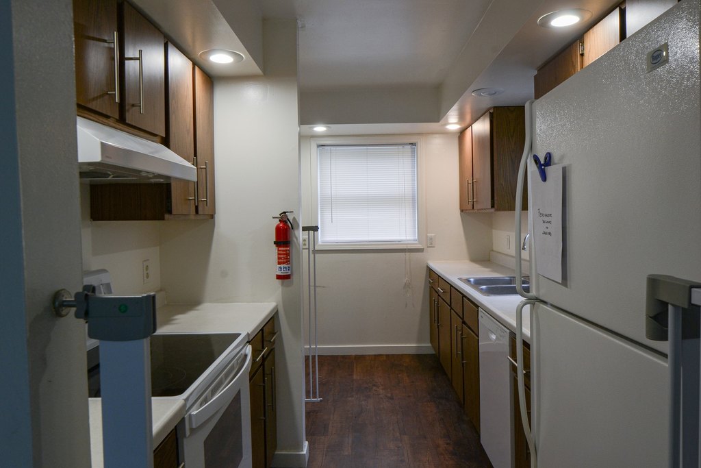 Picture 36