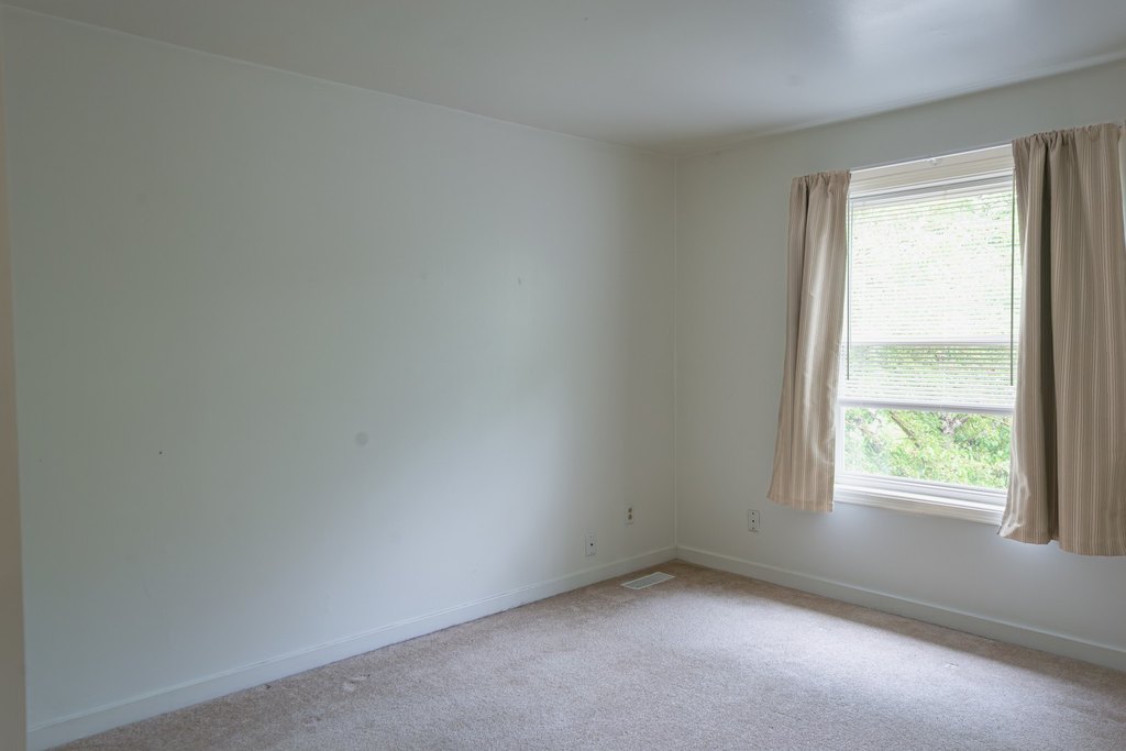 Picture 38