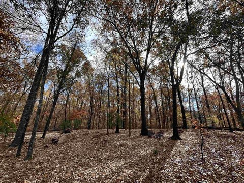Residential Land in Forrest City