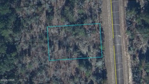 LAND - Chipley, FL