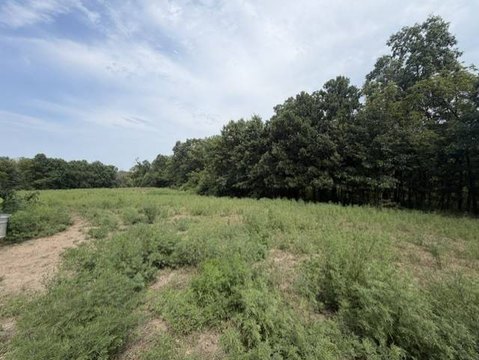LAND - Cameron, MO