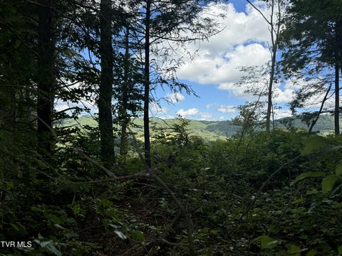 Roan Mountain Vacant Land