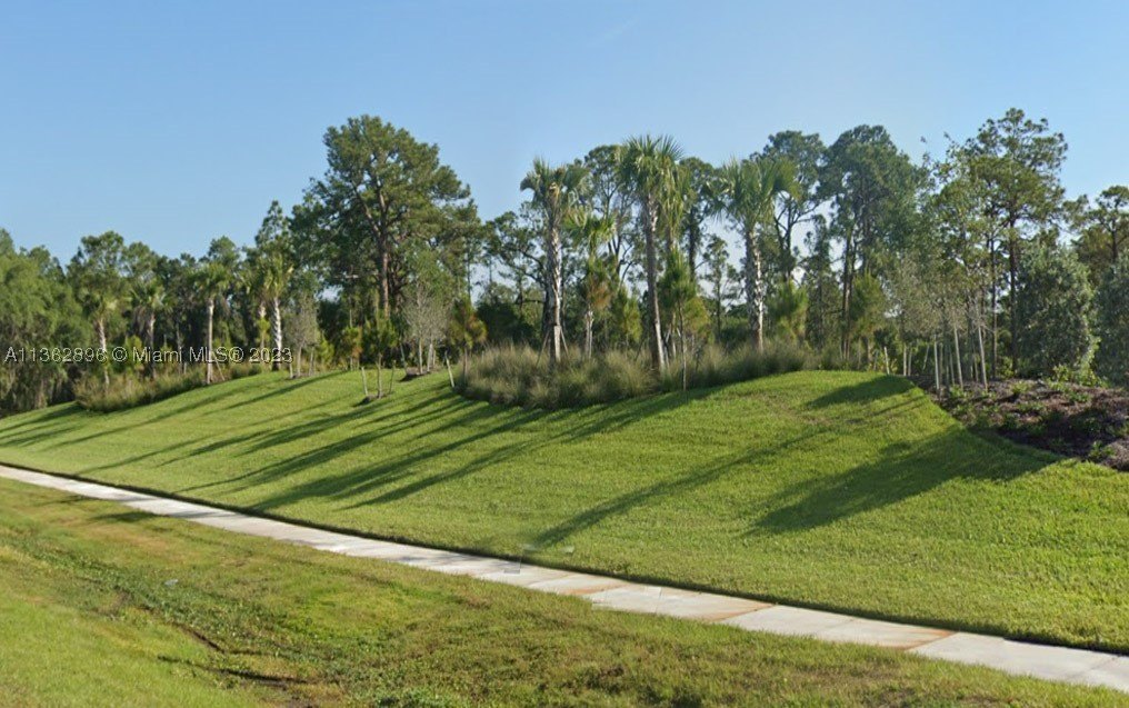 Picture 12
