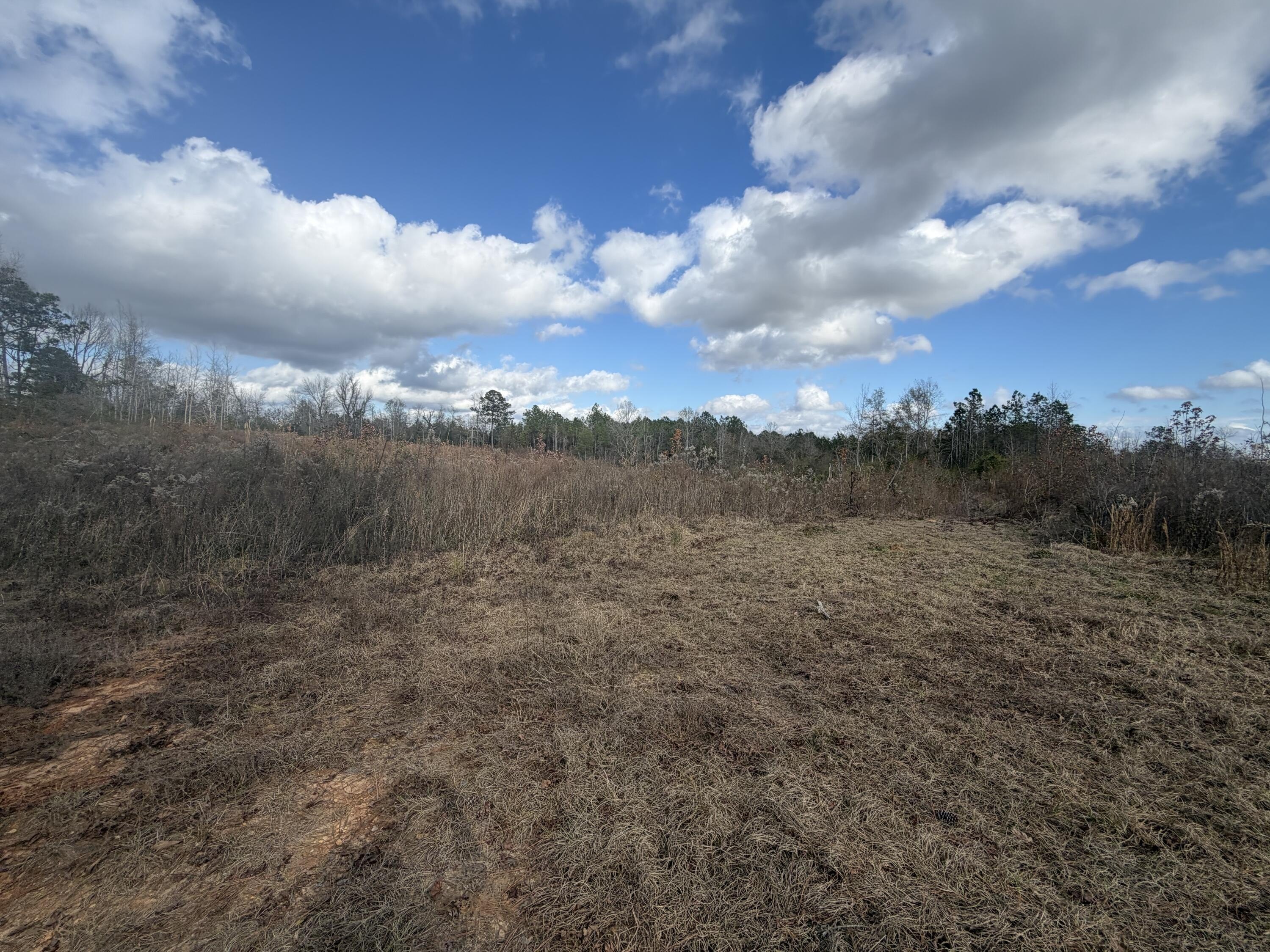 Prentiss Land for Hunting, Farming