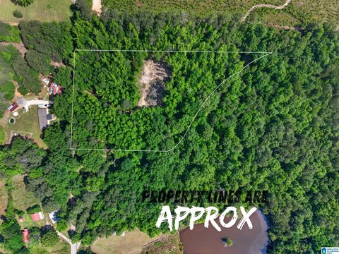 Piedmont Acreage: Unrestricted 4.2 Acres
