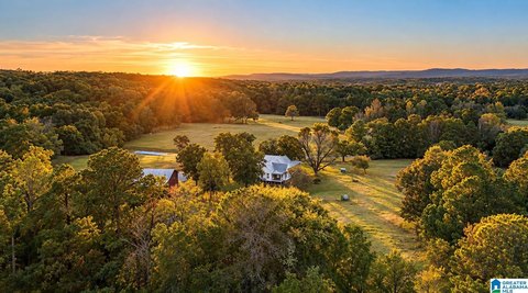 LAND/LOTS, CHILDERSBURG, AL