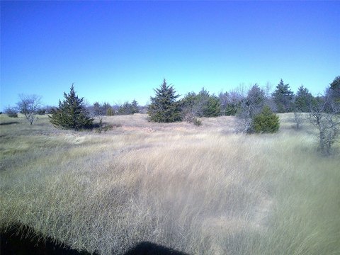 Chico, TX Unimproved Land