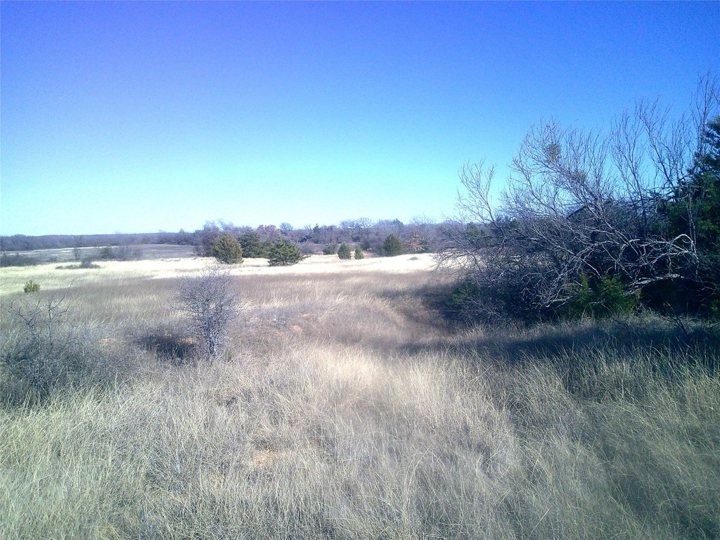 Picture 4