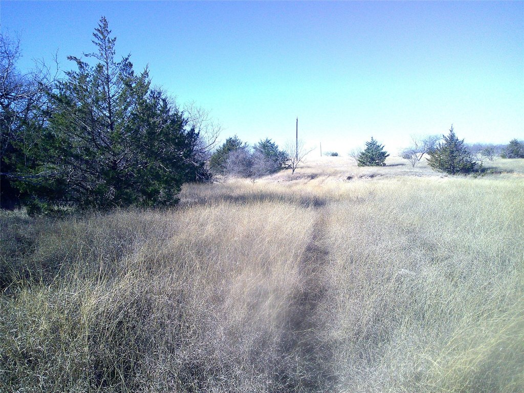 Picture 3