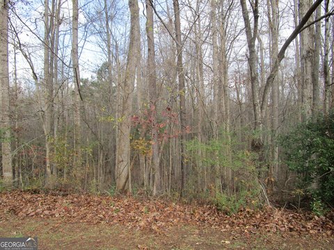 LAND - Griffin, GA