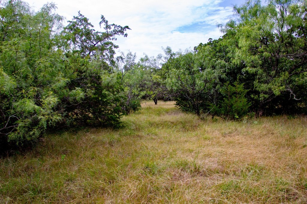Picture 31