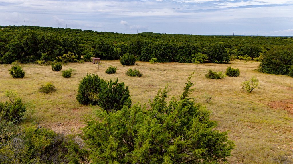 Picture 23
