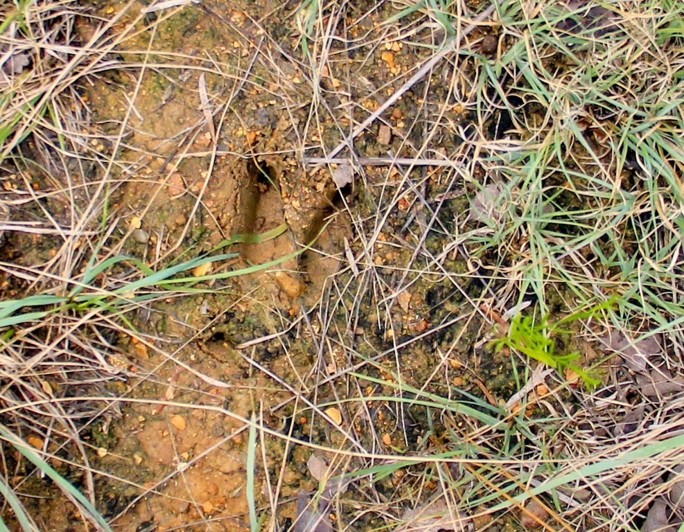 Picture 7