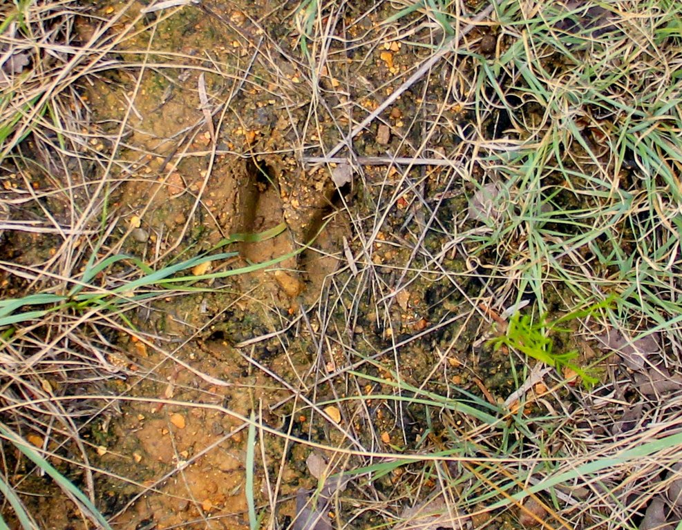 Picture 30