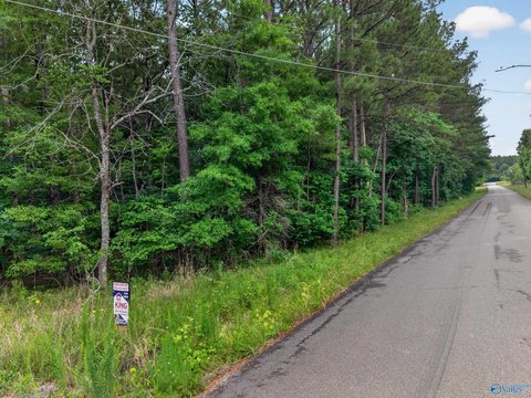 LAND - Southside, AL