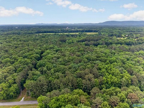 LAND - Southside, AL