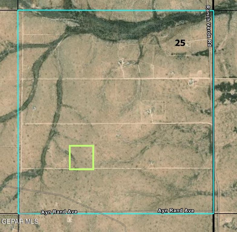 Picture 13