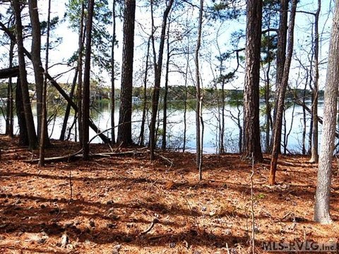 Waterfront Lot on Poe Creek
