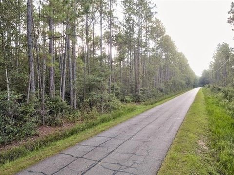 Heavily Wooded Residential Land Lot