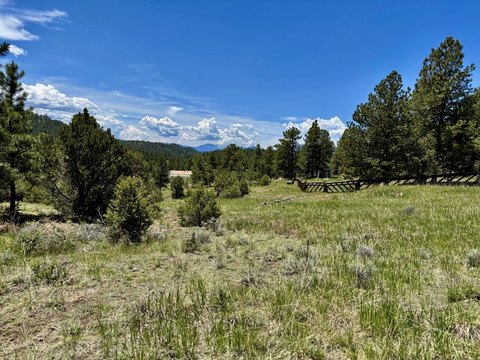 Westcliffe Land with Mountain Views
