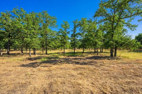 Land, Fredericksburg, TX