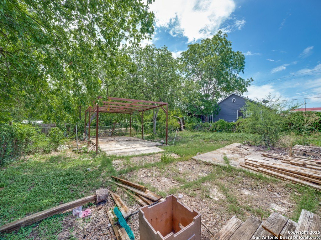 Picture 8