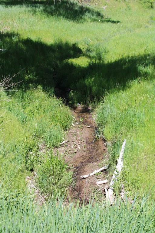Picture 11