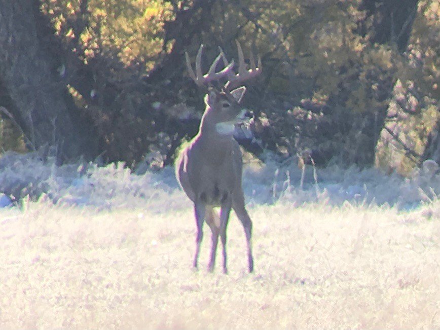 Picture 8