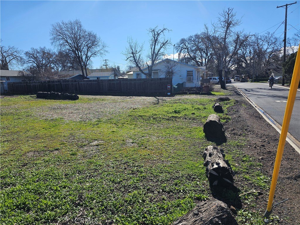 Picture 5