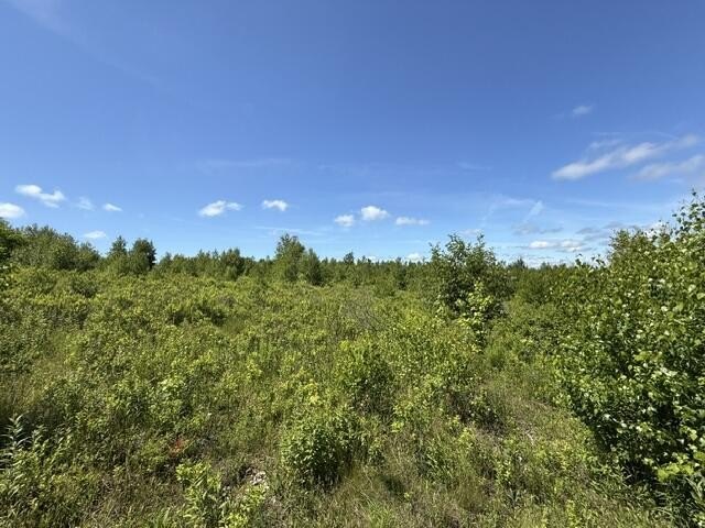 Picture 10