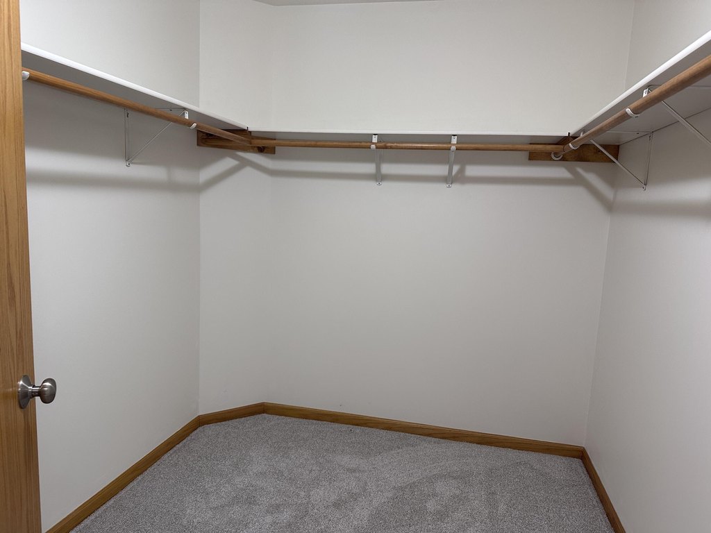 Picture 31