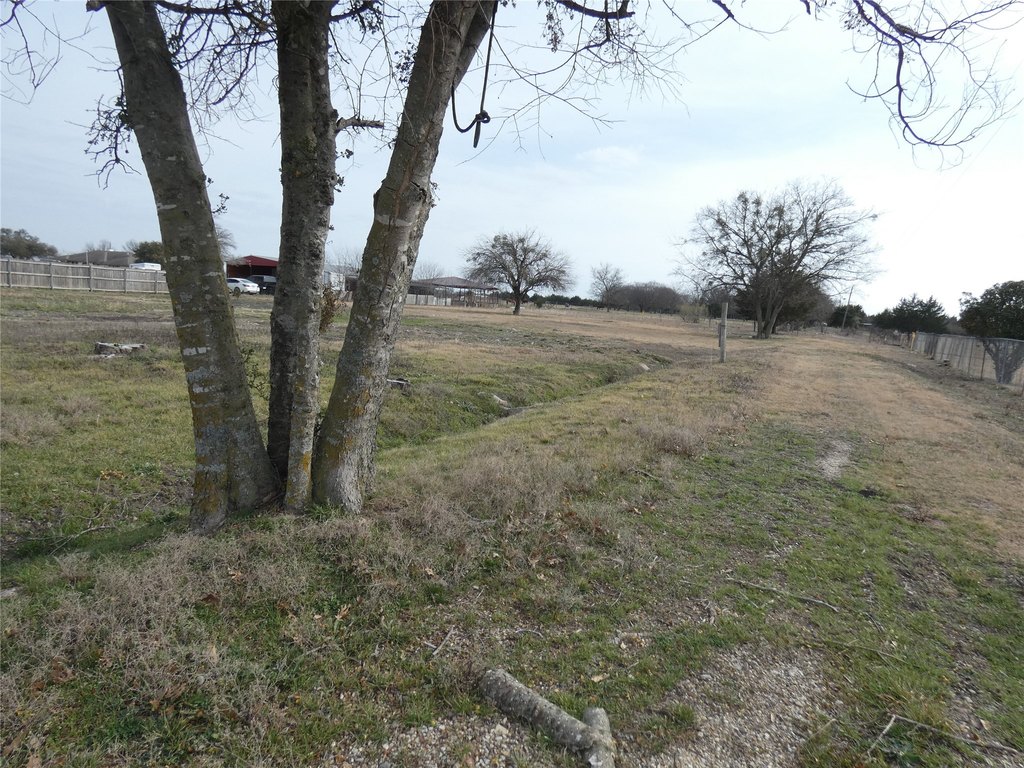 Picture 16