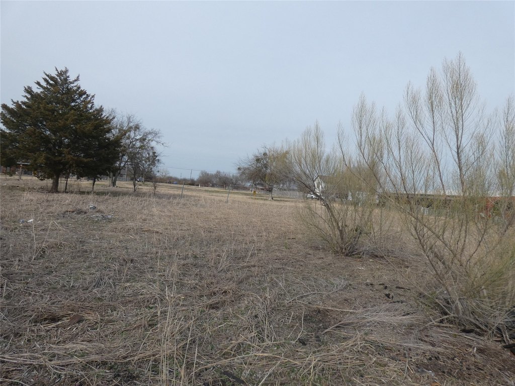 Picture 9
