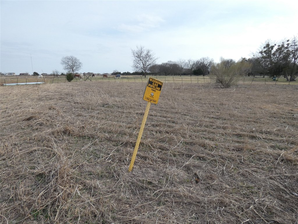 Picture 23