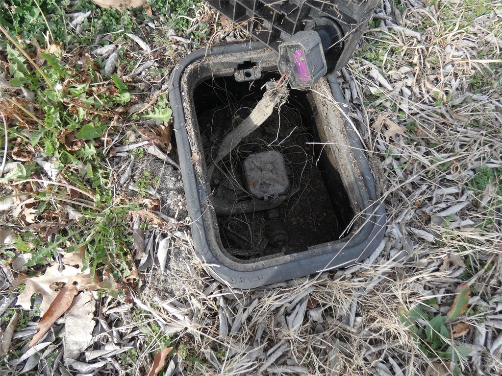 Picture 24