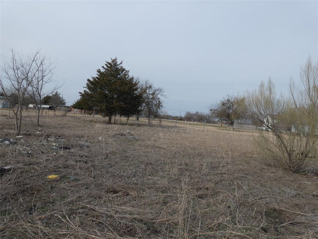 Picture 11