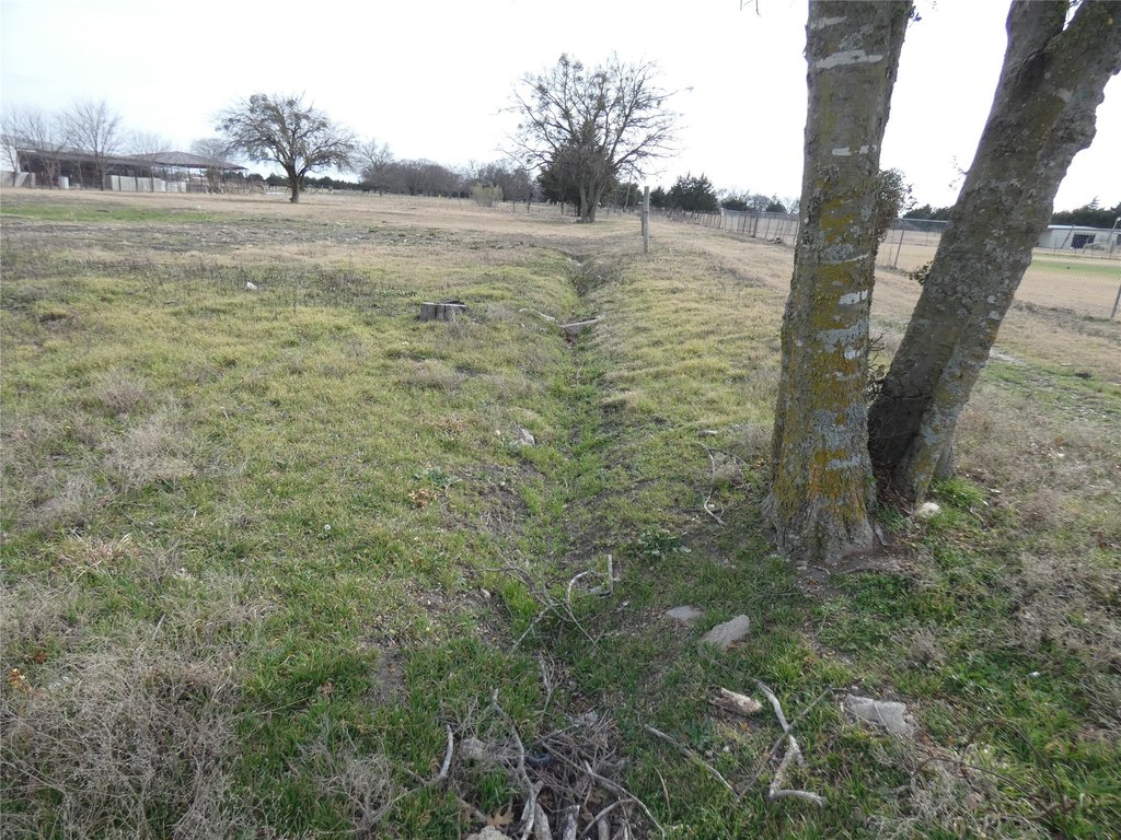 Picture 15