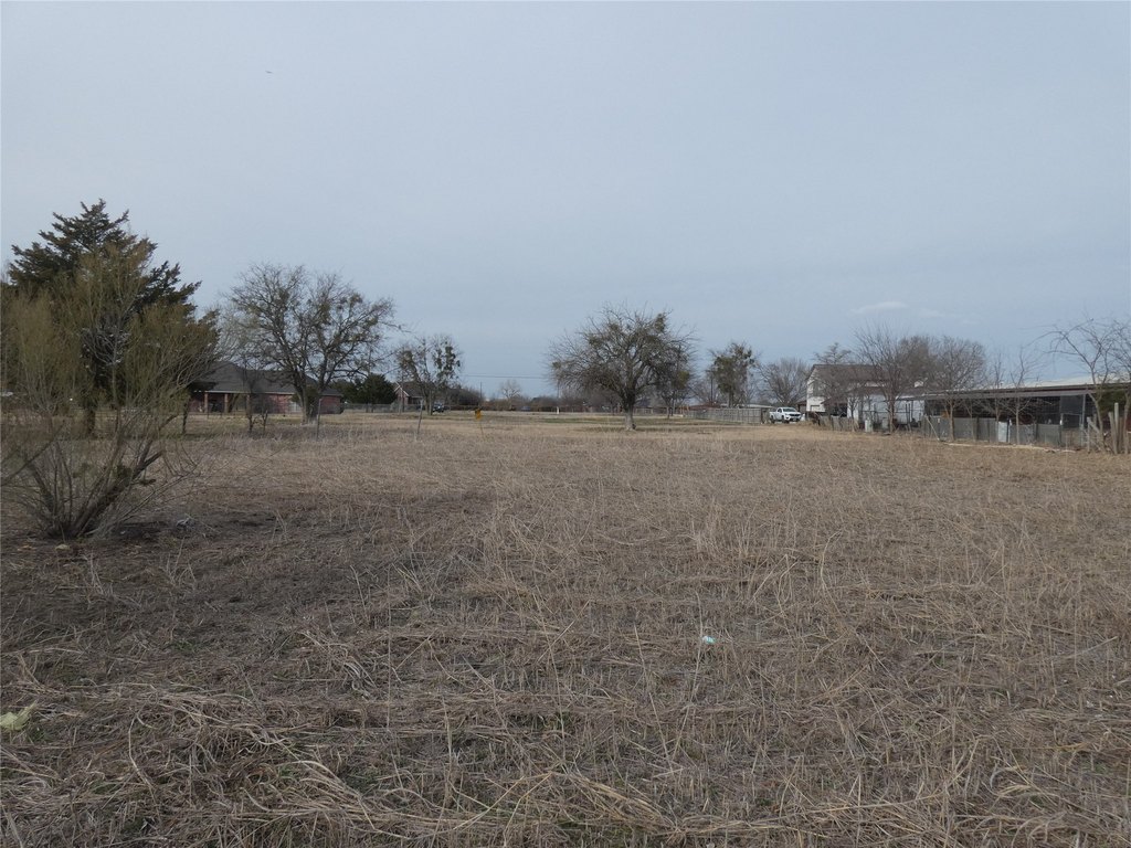 Picture 8