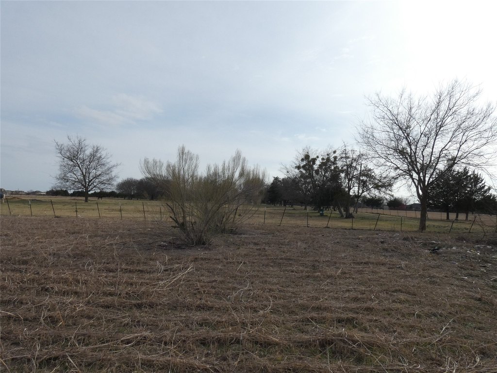 Picture 12