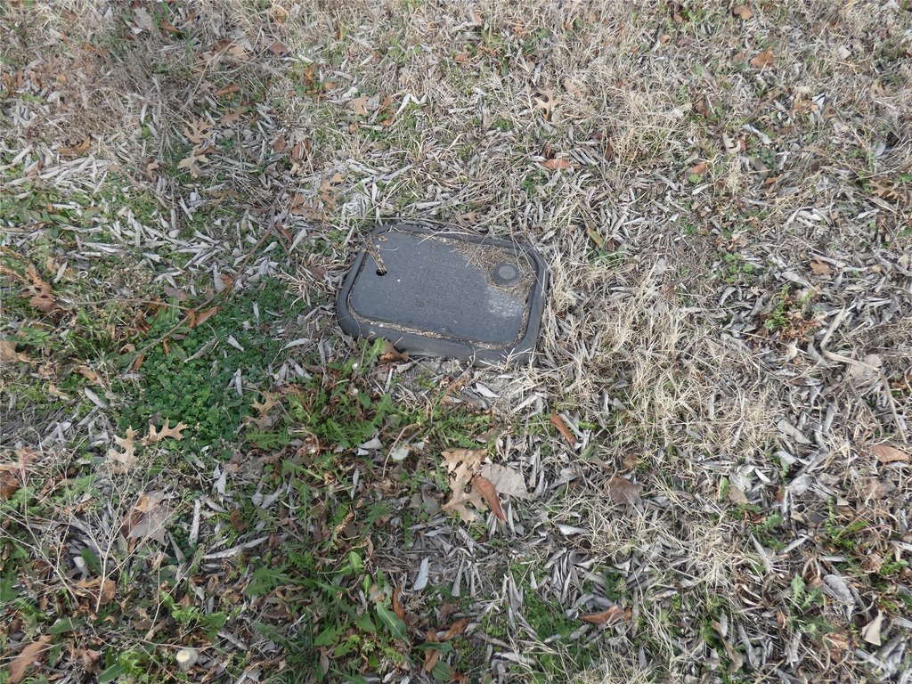 Picture 22