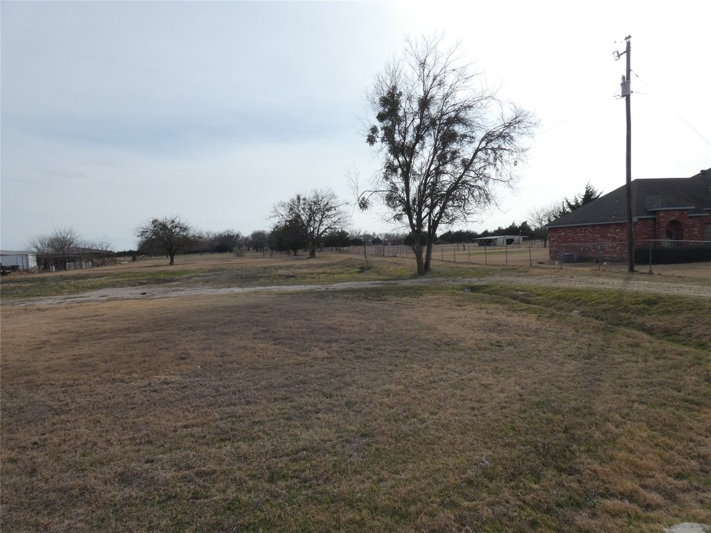Picture 19