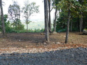 Harrison Land with Valley Views